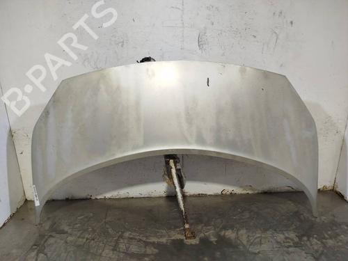 hood-renault-scenic-ii-jm01_-2003-2004-2005-2006-2007-2008-2009-2010-38600962 main image