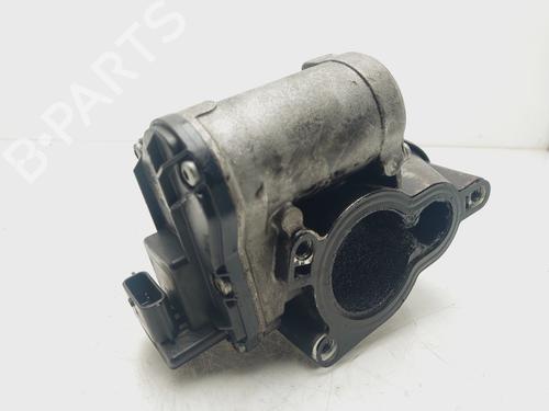 Egr RENAULT LAGUNA III Grandtour (KT0/1) 2.0 dCi (KT01, KT08, KT09, KT0K, KT12, KT1D, KT1W) | BP21166391M69 