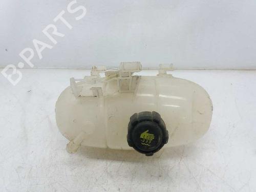 Expansion tank OPEL VIVARO B Van (X82) 1.6 CDTI (05) 217101893R |