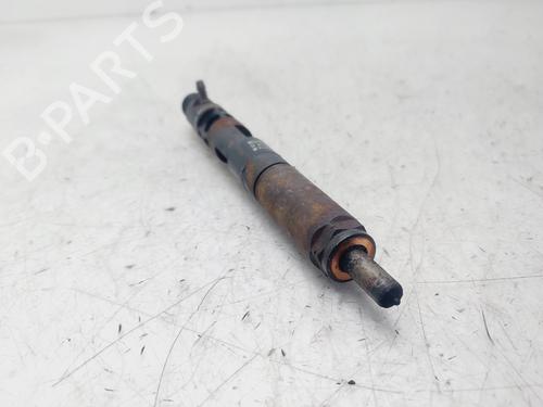 Injector RENAULT KANGOO Express (FW0/1_)  | BP29820915M100