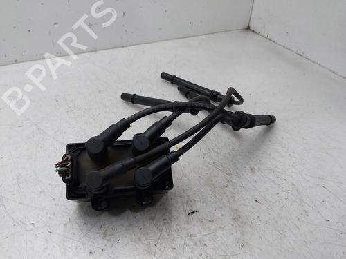Used Ignition coil RENAULT CLIO III (BR0/1, CR0/1) 1.2 16V (BR0P, CR0P) (101 hp) 31589125