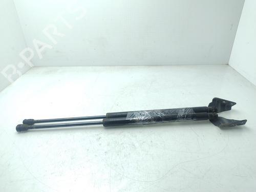 Tailgate lift support SSANGYONG RODIUS II  | BP29358021C138 