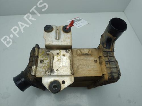 Intercooler KIA SPORTAGE II (JE_, KM_)  | BP25975961M30 