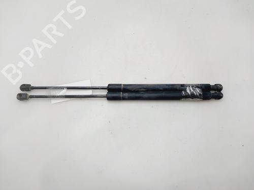 Gasdæmper bagklap VW TIGUAN (5N_) [2007-2018]  30121172