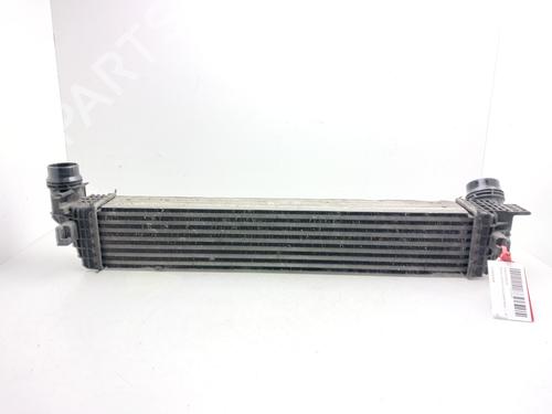 Used Intercooler Intercooler RENAULT GRAND SCÉNIC III (JZ0/1_) [2009-2016] 35720599 35720599
