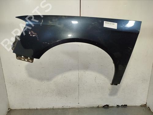 Used Left front fenders VW PASSAT B6 (3C2) [2005-2010]  24578195