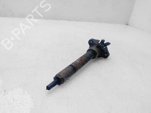 Injector BMW 3 (E46) 318 d | BP24950745M100 