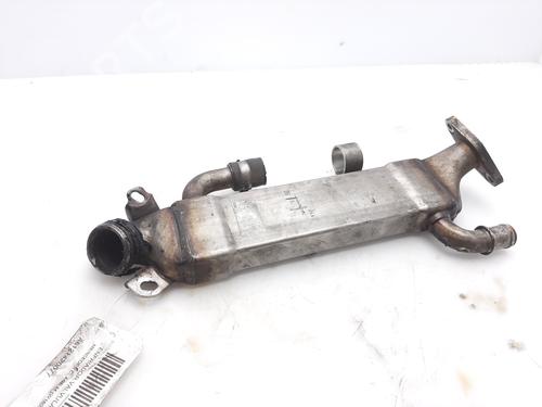 Used Egr MERCEDES-BENZ M-CLASS (W163) ML 270 CDI (163.113) (163 hp) 14007927