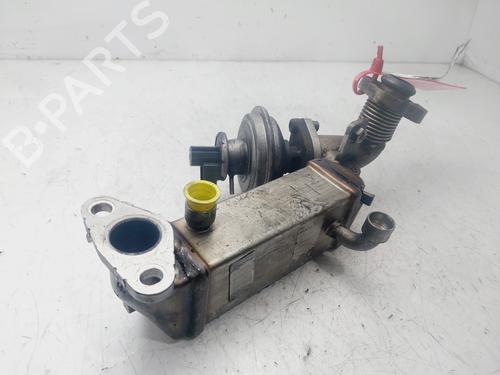 Egr BMW 1 (E87) 118 d | BP29903330M69