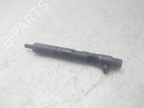 Injector RENAULT SCÉNIC II (JM0/1_)  | BP29497365M100 