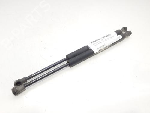 Used Tailgate lift support BMW 3 (E46) 320 d (136 hp) 14005686