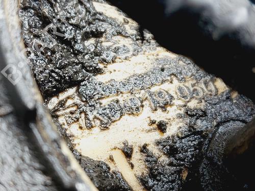 Fuel pump VW GOLF V (1K1) | BP32286311M76