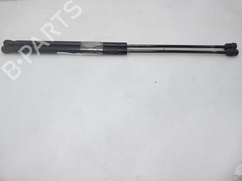 Tailgate lift support FORD FOCUS II Turnier (DA_, FFS, DS)  | BP17163996C138 