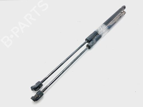 Tailgate lift support FORD FIESTA VI (CB1, CCN) 1.4 TDCi | BP18864403C138 