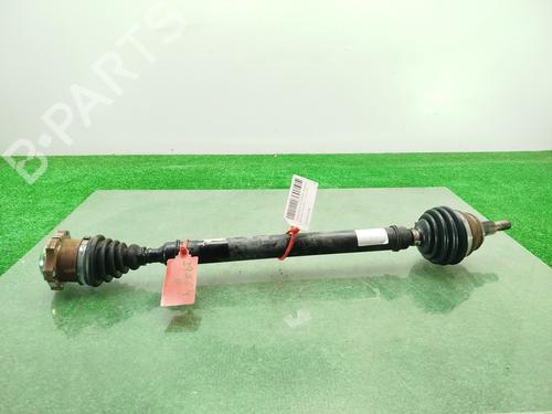 Arbre de transmission avant droit SEAT LEON (1M1) [1999-2006]  29395938