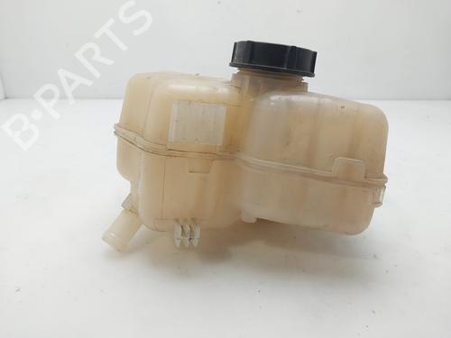 Used Expansion tank FORD ECOSPORT 1.5 EcoBlue TDCi (95 hp) 19116053