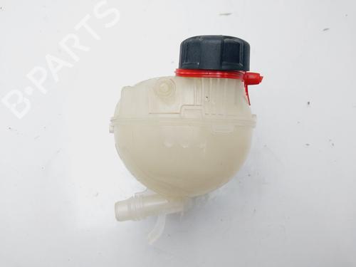 Ekpansionstank OPEL MOKKA | BP32015497C120