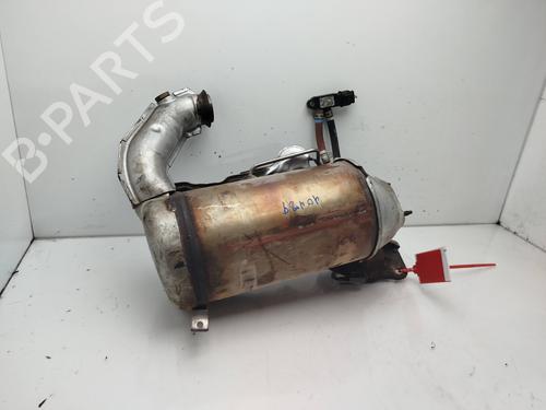 Particulate filter RENAULT KANGOO / GRAND KANGOO II (KW0/1_) | BP31939651M81