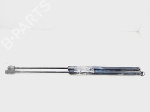 Tailgate lift support FORD FIESTA VI (CB1, CCN)  | BP26519050C138 