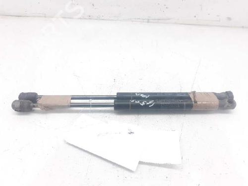 Used Tailgate lift support RENAULT MEGANE II Saloon (LM0/1_) [2003-2025]  13994447