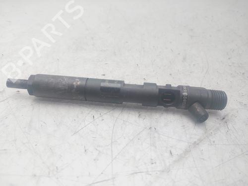 Injector RENAULT SCÉNIC II (JM0/1_)  | BP29497364M100 