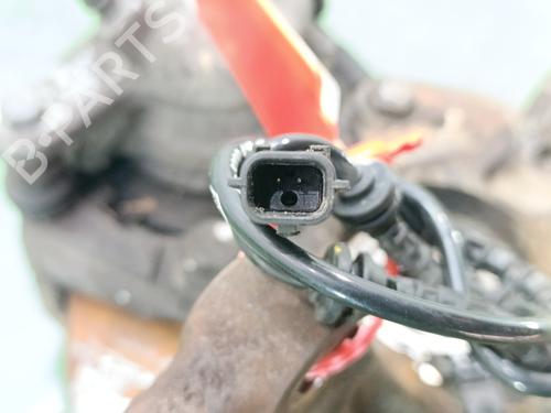 Left front steering knuckle RENAULT CLIO III (BR0/1, CR0/1)  | BP29539218M25 