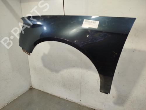 Left front fenders VW PASSAT B6 (3C2)  | BP24578195C41 