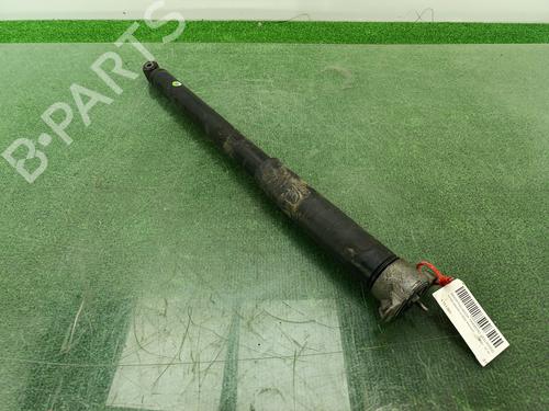 Left rear shock absorber FORD GRAND C-MAX (DXA/CB7, DXA/CEU)  | BP25902875M18 