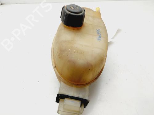 Expansion tank OPEL VIVARO A Van (X83) 1.9 DTI (F7) | BP20487674C120 