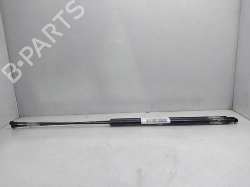Tailgate lift support SEAT TOLEDO III (5P2)  | BP17181089C138 