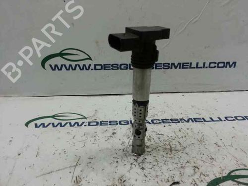 Used Ignition coil SKODA FABIA II (542) 1.2 12V (60 hp) 10240060