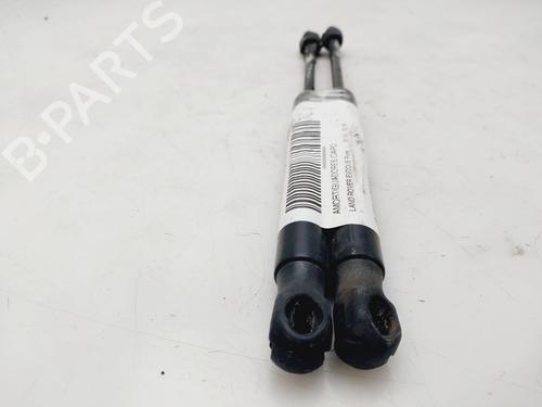 Hood lift support LAND ROVER RANGE ROVER EVOQUE (L538)  | BP25880268C139 