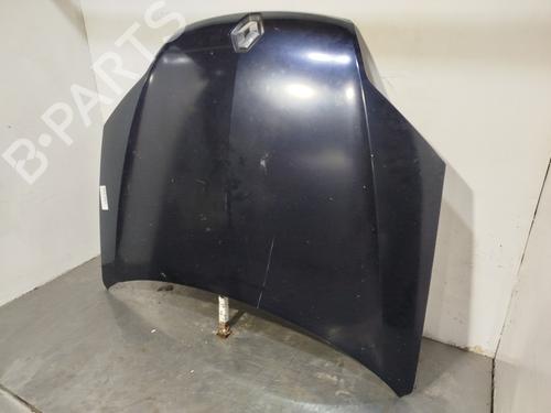 Hood RENAULT LAGUNA III (BT0/1) 2.0 dCi (BT07, BT0J, BT14, BT1A, BT1S) | BP31611216C1