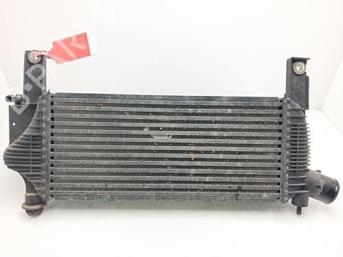 Intercooler NISSAN PATHFINDER III (R51)  | BP25976462M30 
