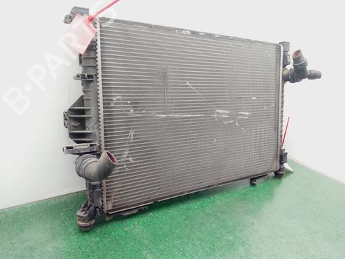 Water radiator FORD S-MAX (WA6)  | BP29903464M31 