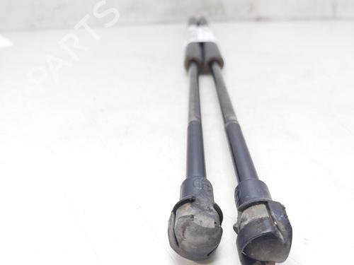 Tailgate lift support BMW X5 (E53)  | BP14009459C138 