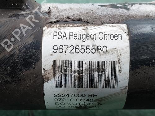 Right front shock absorber CITROËN C3 II (SC_)  | BP17088363M17