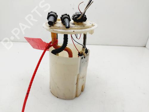 Fuel pump RENAULT MEGANE III Hatchback (BZ0/1_, B3_) 1.5 dCi | BP25845886M76 
