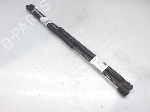 Used Tailgate lift support RENAULT SCÉNIC II (JM0/1_) 1.9 dCi (JM14) (131 hp) 14003891