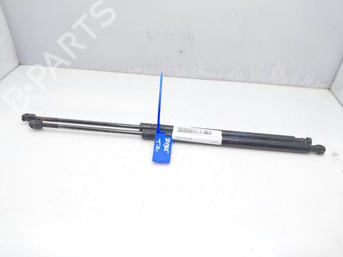 Used Tailgate lift support LAND ROVER RANGE ROVER SPORT I (L320) 3.6 D 4x4 (272 hp) 14005883