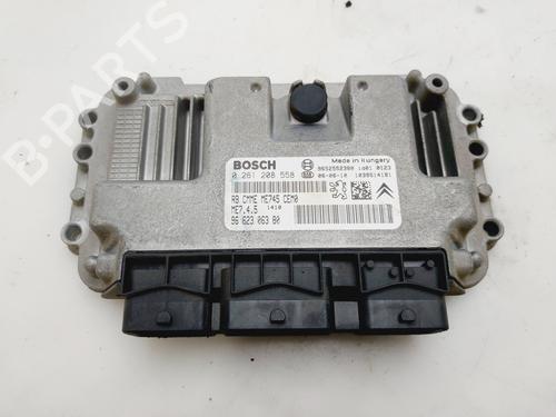 Computer motormanagement PEUGEOT 307 (3A/C) [2000-2012]  29875382