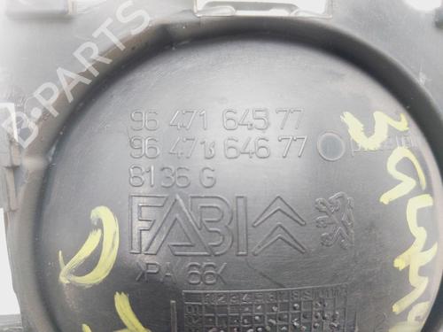 Front left interior door handle CITROËN C3 I (FC_, FN_) 1.4 i Bivalent | BP29731518I13 
