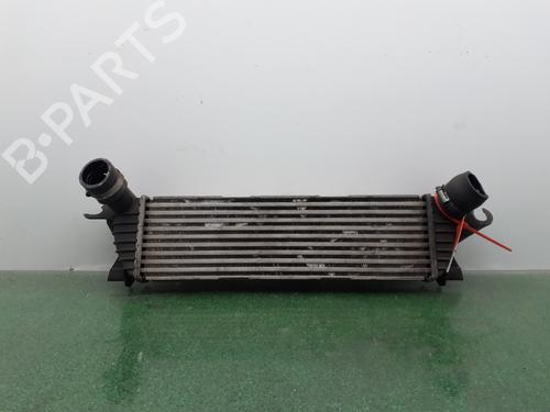 Used Intercooler RENAULT KANGOO (KC0/1_) 1.9 dCi 4x4 (84 hp) 31352451