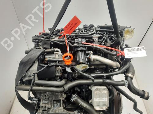 Engine SEAT LEON (1P1)  | BP31878449M1 