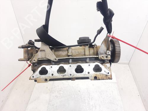 Used Cylinder head SEAT IBIZA III (6L1) [2002-2009]  31097947
