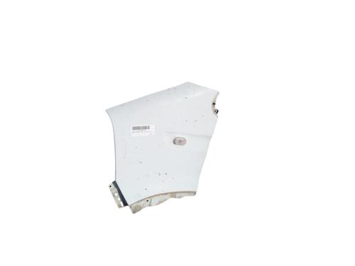 Left front fenders RENAULT MASTER II Van (FD) 2.5 dCi | BP25844933C41 