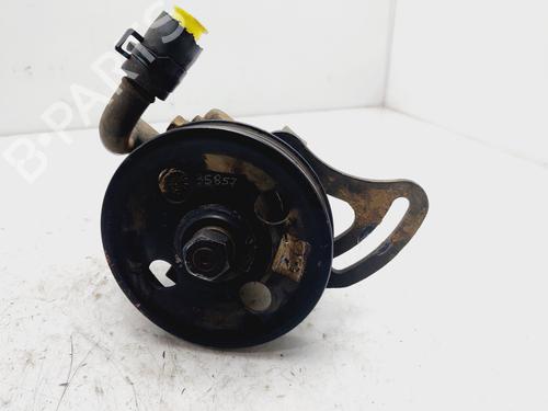 Steering pump CHEVROLET AVEO / KALOS Hatchback (T250, T255) 1.2 | BP20342197M99 