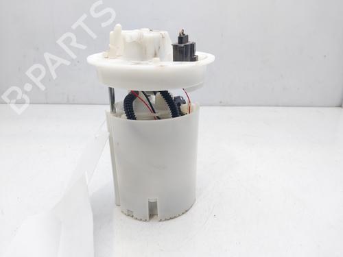 Fuel pump FORD FIESTA VI (CB1, CCN) 1.25 | BP13875865M76 