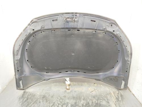 Hood VW TIGUAN (5N_)  | BP24641932C1
