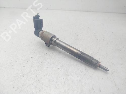 Injector LAND ROVER DISCOVERY III (L319) 2.7 TD 4x4 | BP29452507M100 